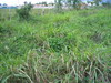 00 Property 06