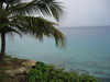 Crashboats 19