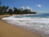 Rincon 22